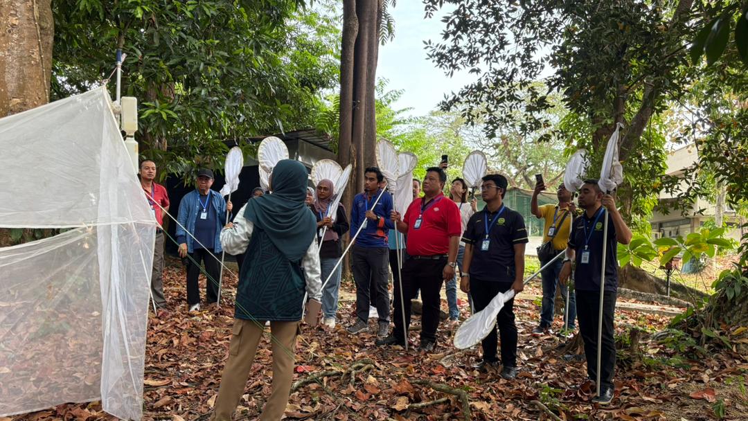 INSECT IDENTIFICATION PRESERVATION TECHNIQUES WORKSHOP 2026 SHARES VALUABLE ENTOMOLOGY KNOWLEDGE 10