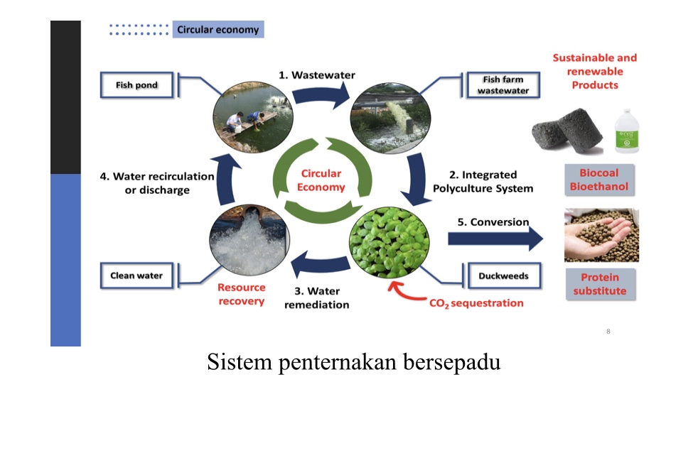 29DCFEC8 DADB 4638 A27A 1AFA40886D24