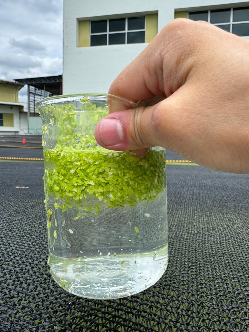 30F7C09F E7F2 4C11 8D25 506226B83BB0