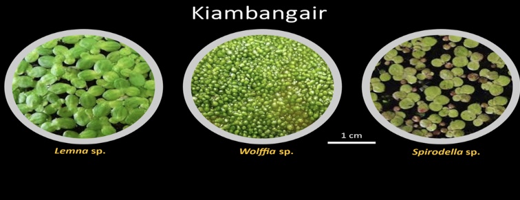 6F6BF647 8F3E 4958 9147 C8B3AEBC4893