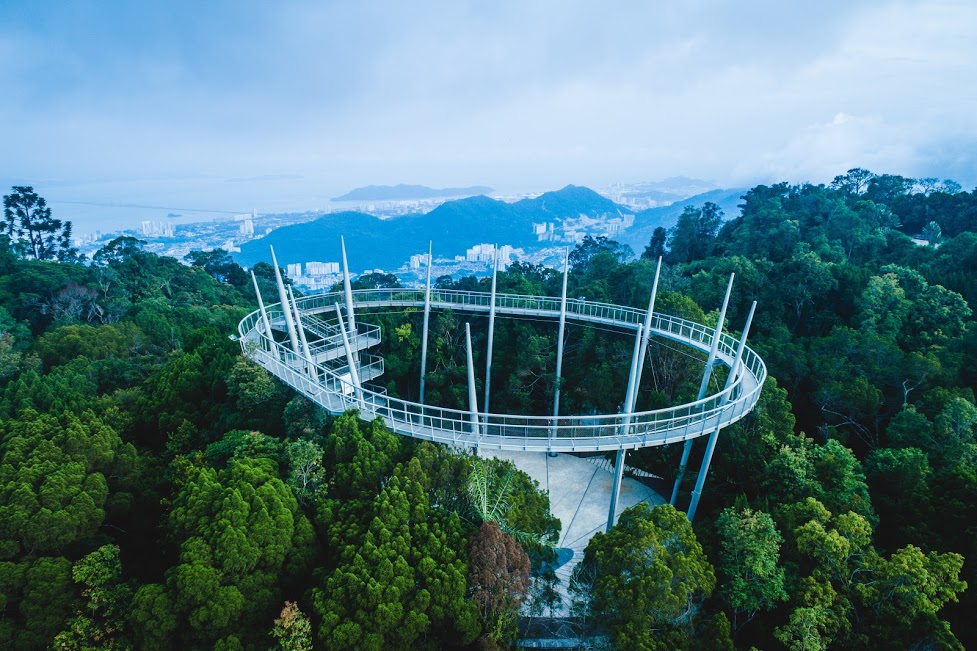 Malaysia-The-Habitat-Penang-Hill-4-Treetop-Walk3.jpg