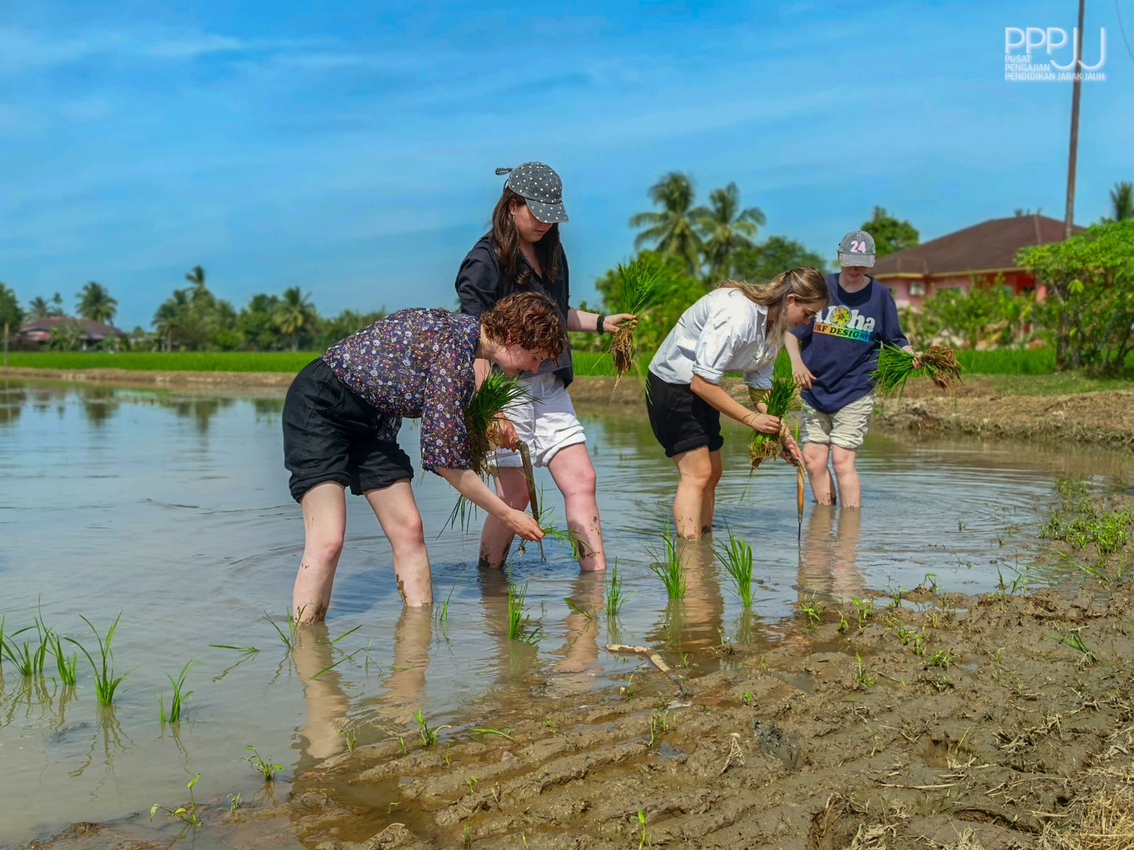 WhatsApp Image 2026 01 19 at 4.37.46 PM