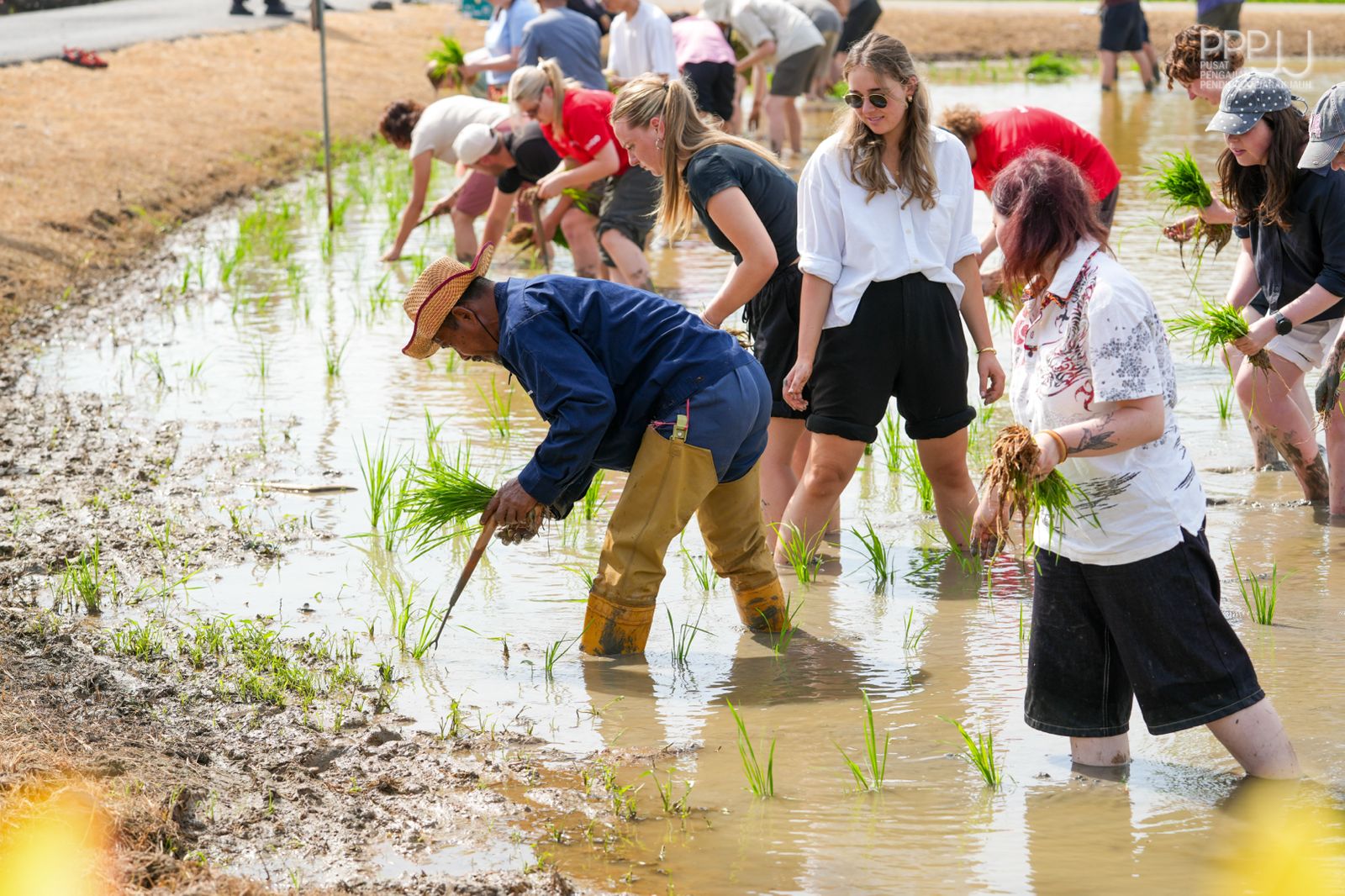 WhatsApp Image 2026 01 19 at 9.53.16 AM