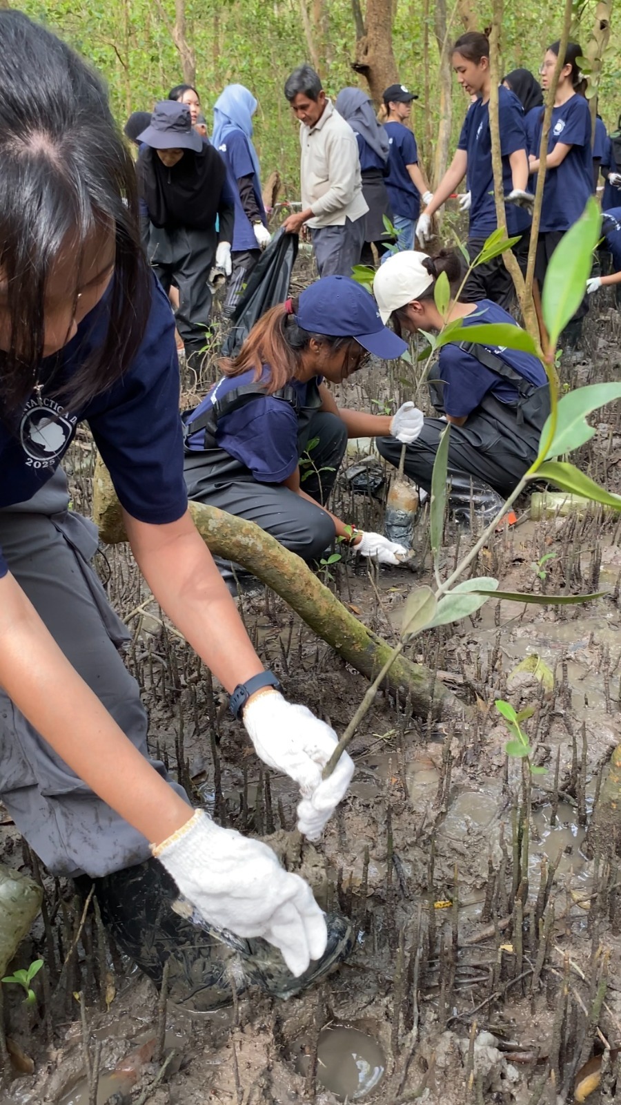 WhatsApp Image 2026 02 10 at 14.32.02 1