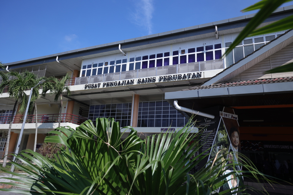 WhatsApp Image 2026 02 10 at 14.46.23