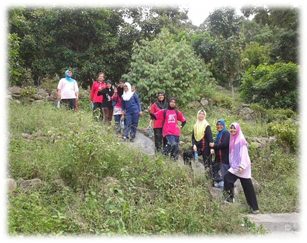 hutan34